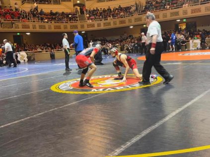 {{brizy_dc_image_alt entityId=